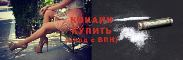 дмт Бородино