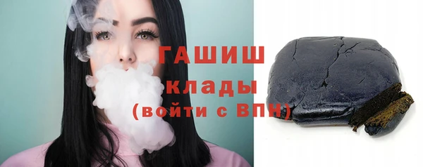 дмт Бородино