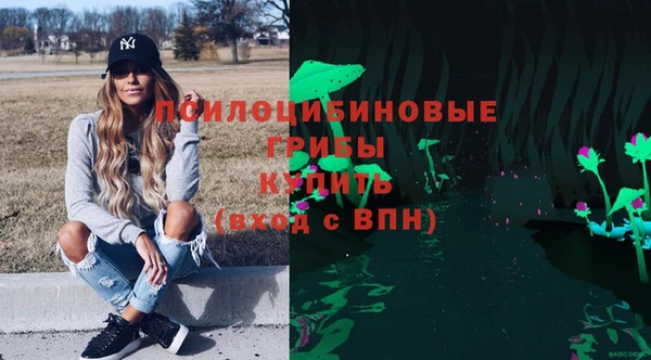 дмт Бородино