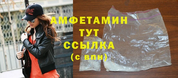 дмт Бородино