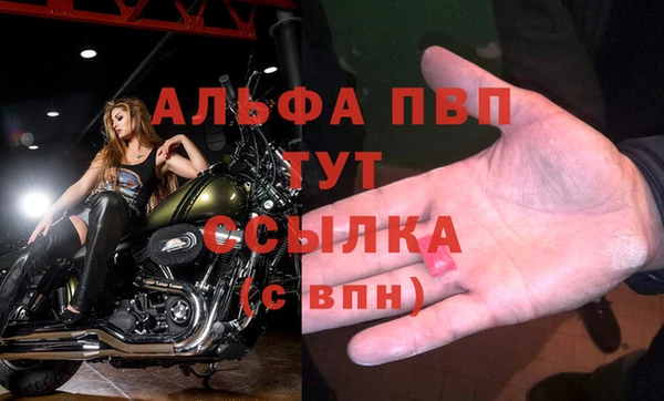 дмт Бородино