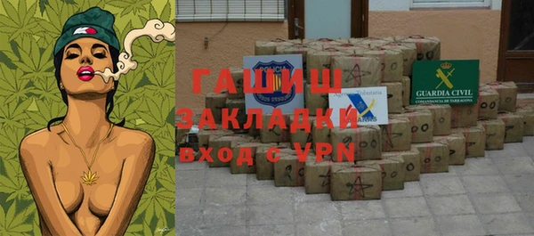 дмт Бородино