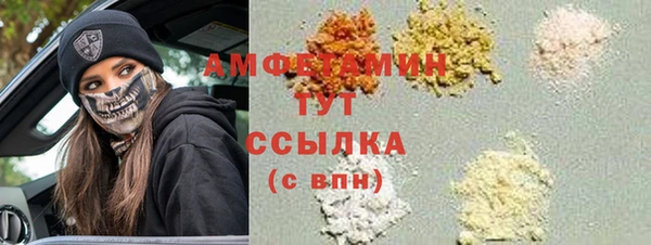 дмт Бородино