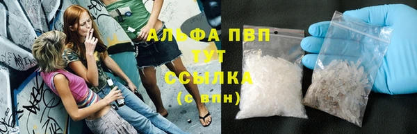 дмт Бородино